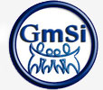 www.gmsi.com